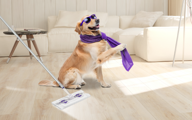 Websitecatalog_03.png (401 KB)